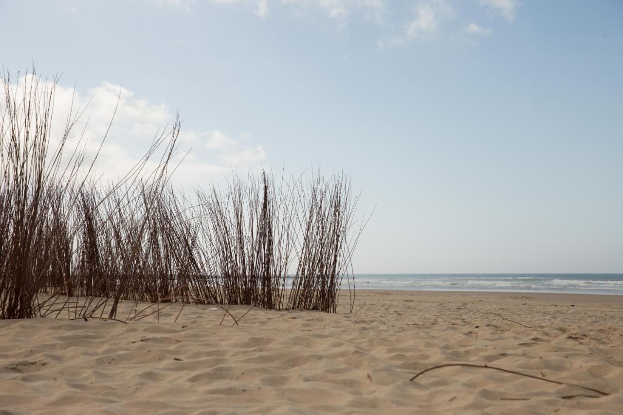 Apartamento Coquina Mrz Rentals Barbate Kültér fotó